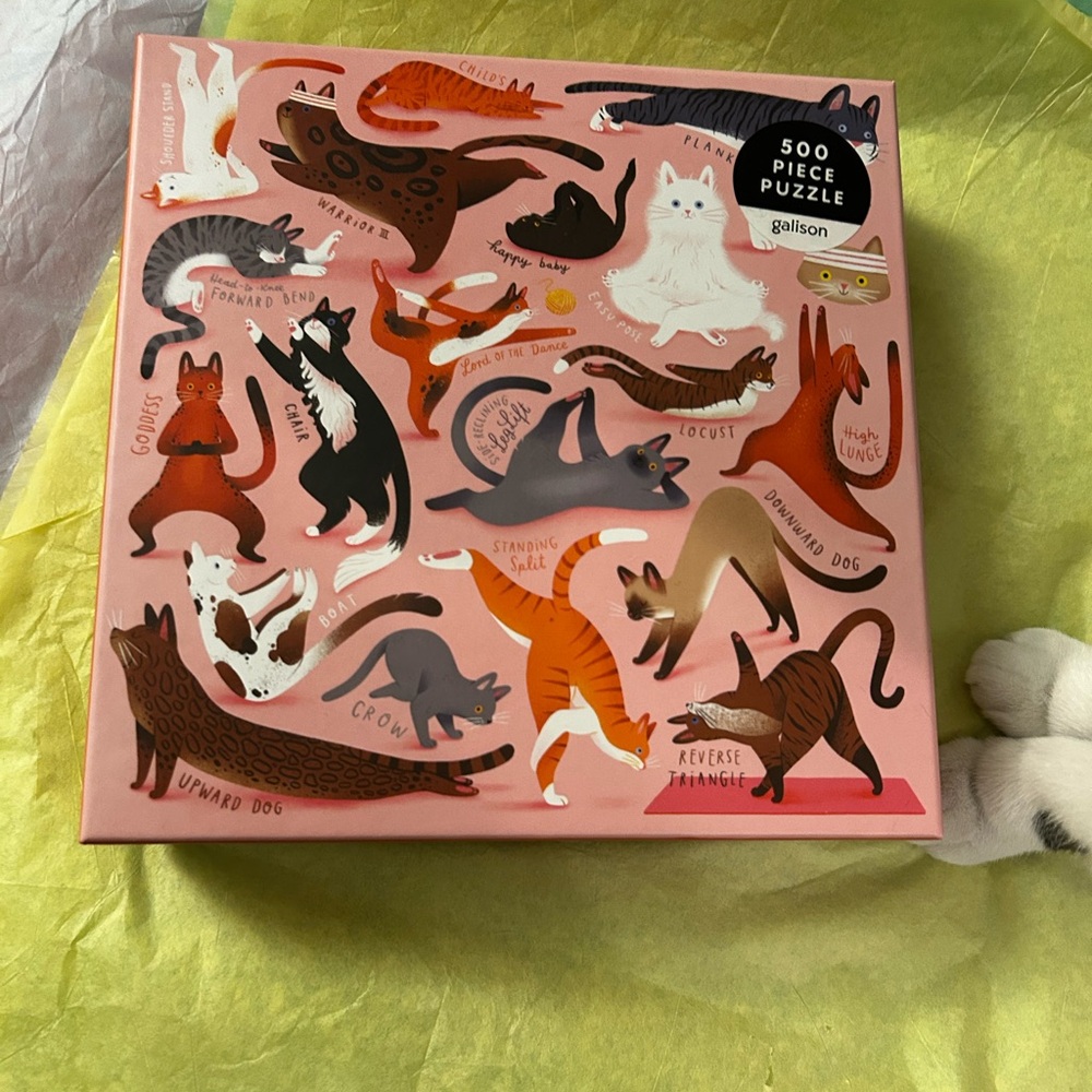Namaste Cat Yoga Pilates 500 Piece Puzzle with All Pieces